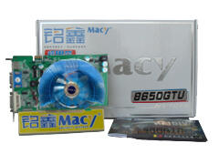 铭鑫视界风系列 8650GT-256D3 辉煌版